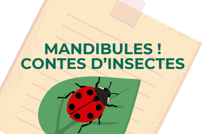 Mandibules Contes d'insectes